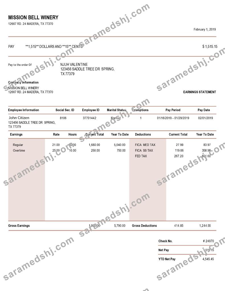 USA MISSION Bell Winery earning statement in word and PDF formats